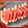 Hộp fruitbox dưa hấu FB05