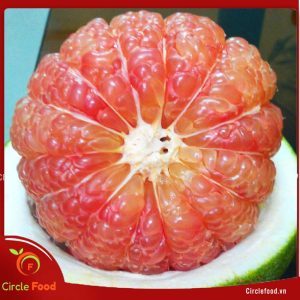 giỏ quà bưởi da xanh 1