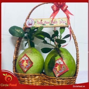 giỏ quà bưởi da xanh 2