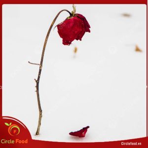 lời chúc ngày valentine cho người yêu cũ 3